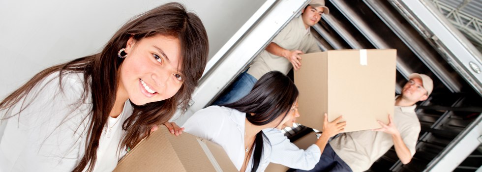 Professional Removalists Thirroul